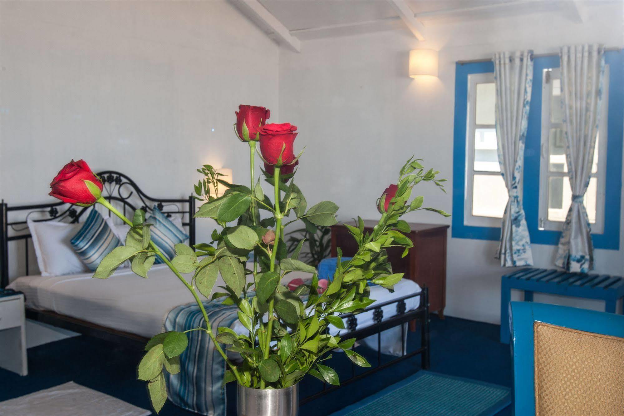 Cuba Agonda Bed & Breakfast Ngoại thất bức ảnh